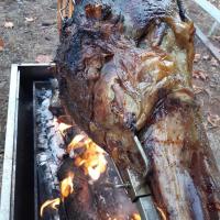 cuisse de taureaux a la broche